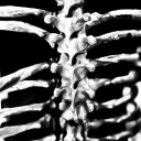 ⋆｡‧₊°♱༺𓆩𝖗𝖊𝖕𝖚𝖙𝖆𝖙𝖎𝖔𝖓𓆪༻♱༉‧₊˚.