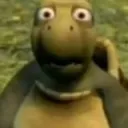 𝗧𝘂𝗿𝘁𝗹𝗲 𝐂𝐨𝐦𝐦𝐮𝐧𝐢𝐭𝐲