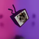 𝙏𝙃𝙀 𝘽𝙄𝙀𝙍 𝙏𝘼𝙑𝙀𝙍𝙉