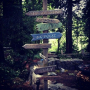 ƚԋҽ ԃҽɱιɠσԃ ԃιαɾιҽʂ ₊ ⊹ Discord server icon