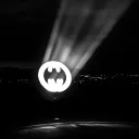 Bat Community