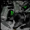 MONSTER FANS