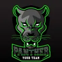Panteras Negras VLB