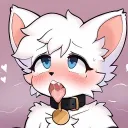 The Yiff Haven