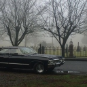 ᙏᥱᥒ oƒ ᒐᥱttᥱɾ⳽ 🪽