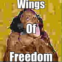 𖤐⭒๋࣭ ⭑𝘞𝘪𝘯𝘨𝘴 𝘰𝘧 𝘧𝘳𝘦𝘦𝘥𝘰𝘮𖤐⭒๋࣭ ⭑ Discord server icon