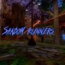 Shadow runners