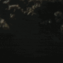 Pinkwoodz Discord server icon