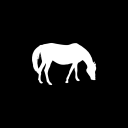 Caelestia Recording Co. Discord server icon