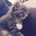 Bhalobashar shohore aj ami boddo eka Discord server icon