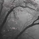 ♱∙∘˚𝒸𝒽ℯ𝓇𝓇𝓎．𝓃𝒾𝑔𝒽𝓉𝓈．