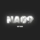 NA09xFISH IT