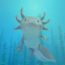 Axolotl Ocean