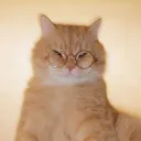ᴀᴇᴛʜᴇʀᴍᴄ