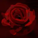 paper roses