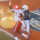 Tiger Central Discord server icon