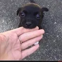 Micheal's server Discord Server Icon