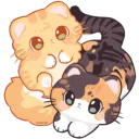 /gentle🐾˚. ᵎᵎ