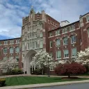 Willowmore Academy Discord Server Icon