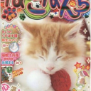 awesome friendly club Discord server icon