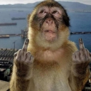 ₊˚ʚɞ₊ Huzz Deprived ˚₊⊹ Discord server icon