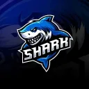 🦈 Sh4rk Store