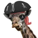 The pirate life