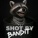 Shot By Bandit