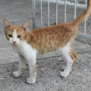 ✨MYHTIC HANGOUT✨ Discord server icon