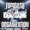Toribash Kickboxing Organization