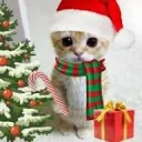 christmas time