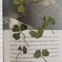 yuuutsu 夢 Discord server icon