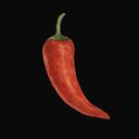 Spicy Channels Discord Server Icon