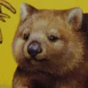 くわすのサーバー