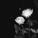 StranGerz Discord server icon