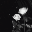 𝐒𝐓𝐫𝐚𝐧𝐠𝐞𝐫𝐙 Discord server icon