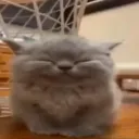 :･ﾟ✧fr0stares ☽˚｡･ﾟ
