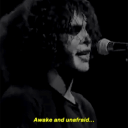 Toro Town Discord server icon