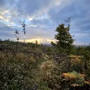 MTB Deutschland
