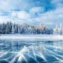 FrostForge