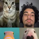 La Familly
