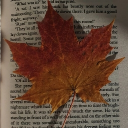 Autumn Leaves 🍁 Discord server icon