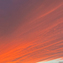 VE Study Discord server icon