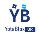 YotaBlox_Organization [YB]