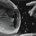 Forgotten Space