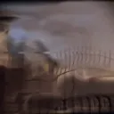 Wammy's House. Discord Server Icon