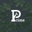 Prime | Advanced Stuff