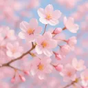 Sakura Park | さくらパーク || #SU