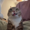 SummerHall Discord server icon