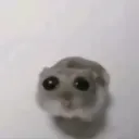 EXAM Discord server icon